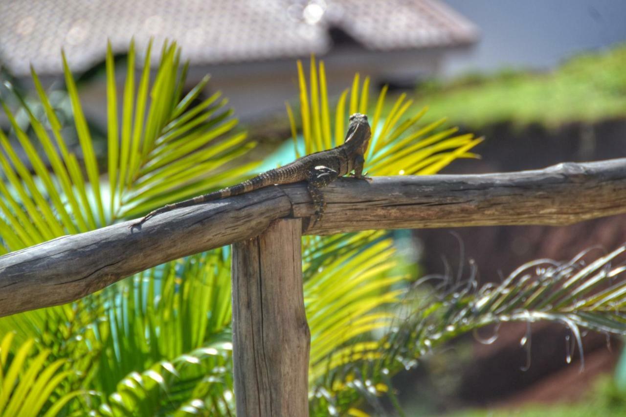 Playa Lagarto Eco Development Villa Paraiso  Luaran gambar